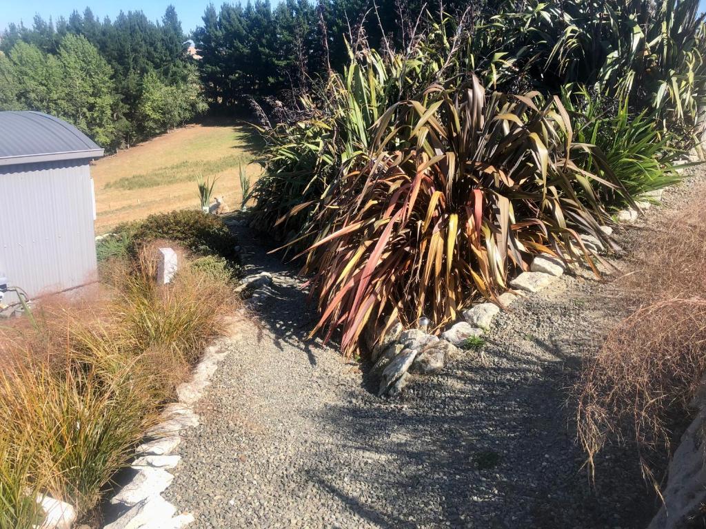 The Shepherd's Rest photo 4