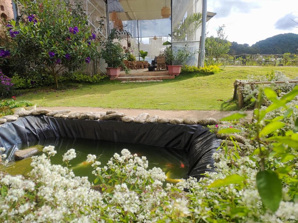 Amikaje Farm photo 3