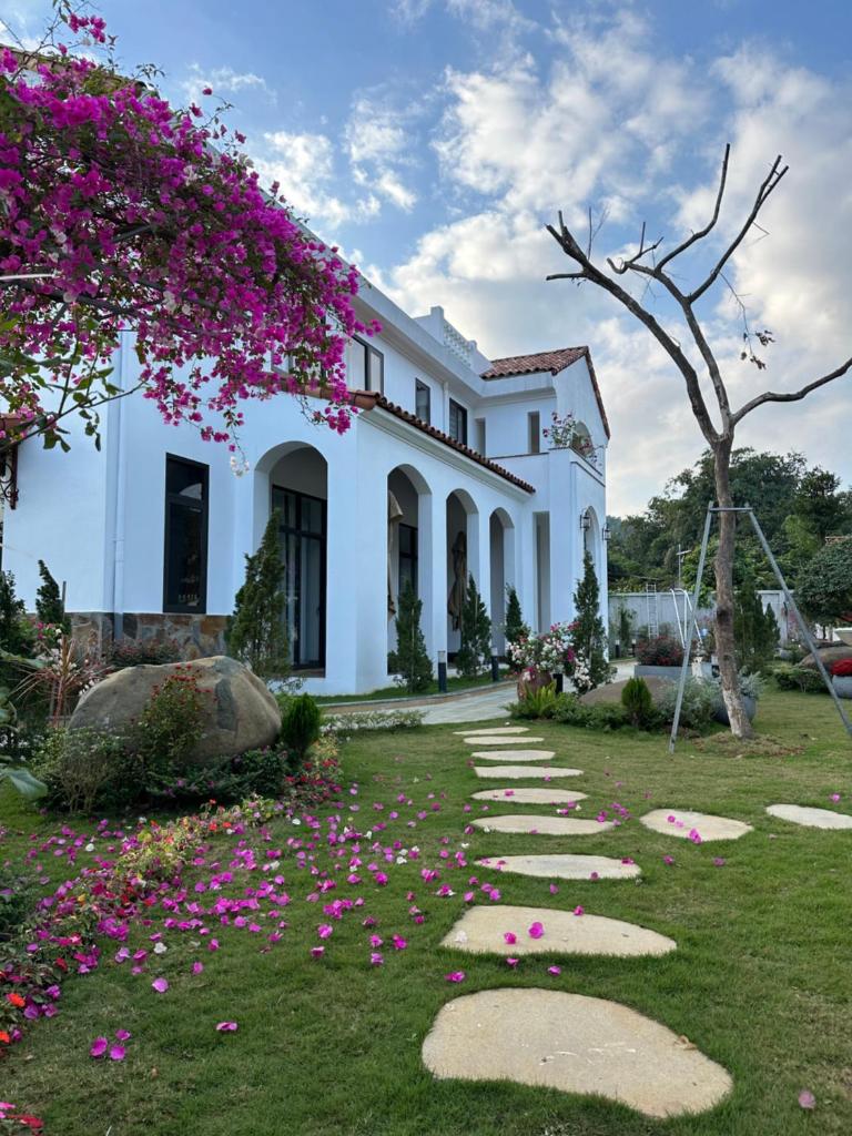 La forêt Vân Hoà Villa