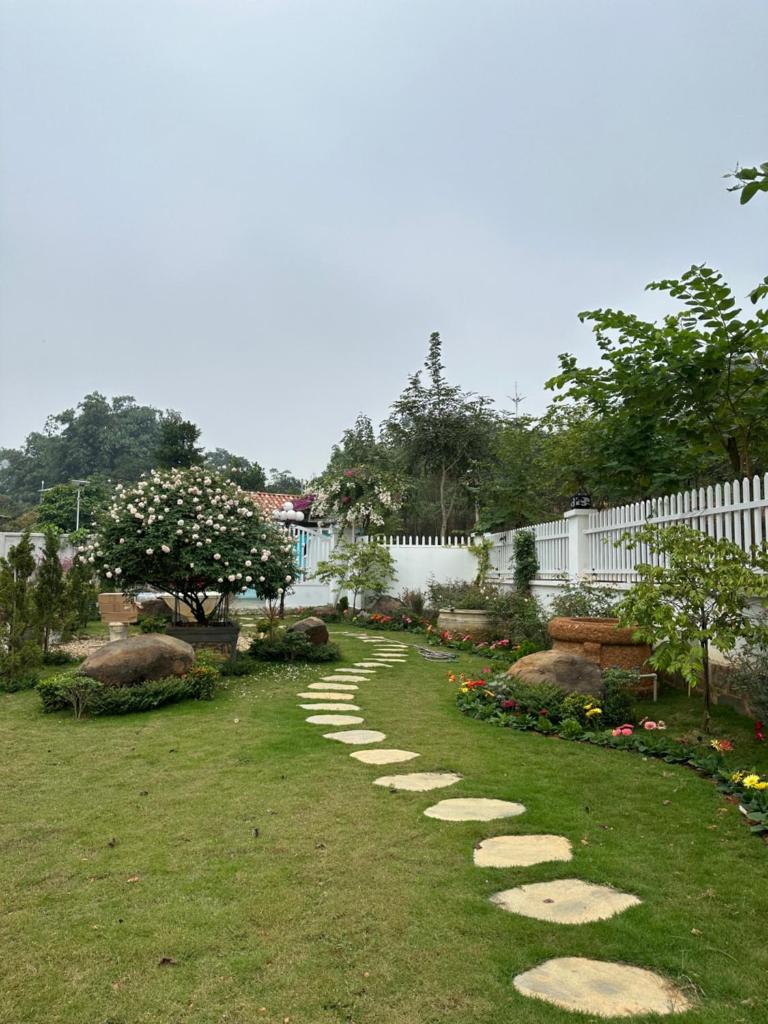 La forêt Vân Hoà Villa