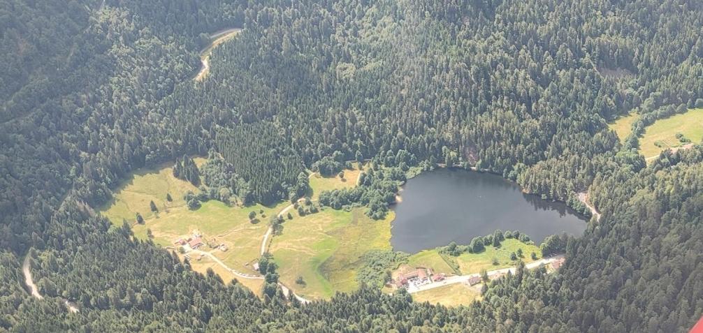 Chalet pour amoureux de la nature avec vue sur le lac de Retournemer
