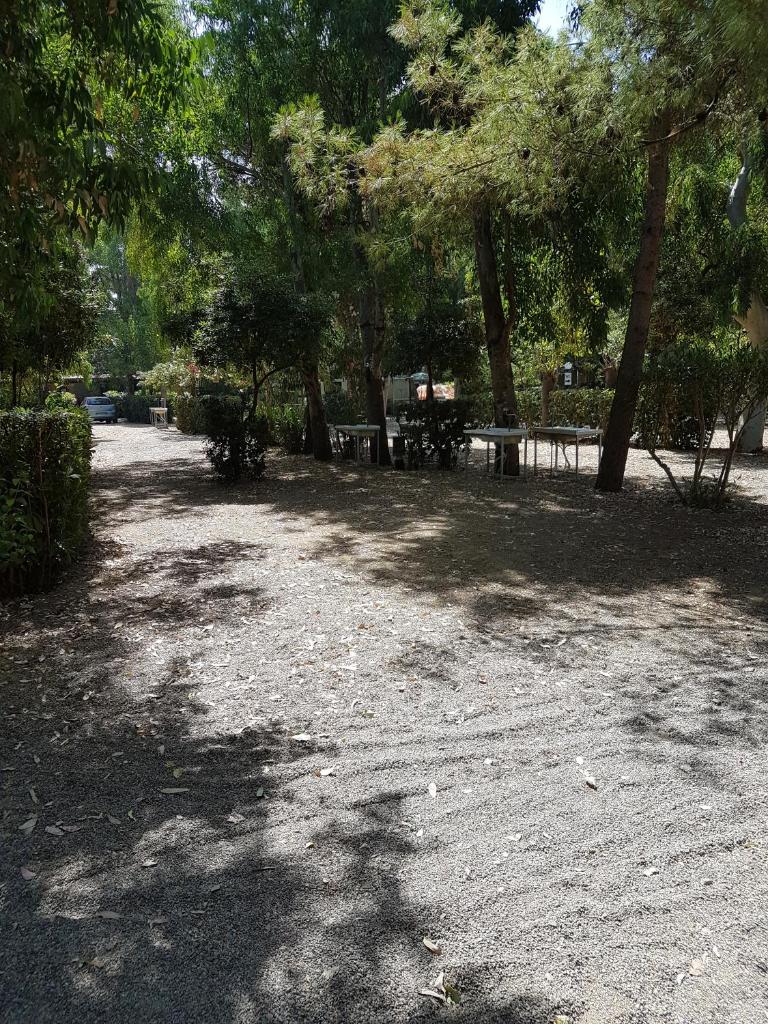 Oriental Park photo 2