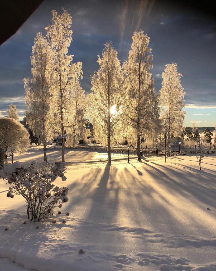 Mysigt HÄRBRE STUGA med utsikt över Siljan photo 2