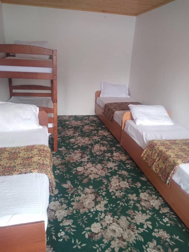 ISKANDARKUL guest house photo 1