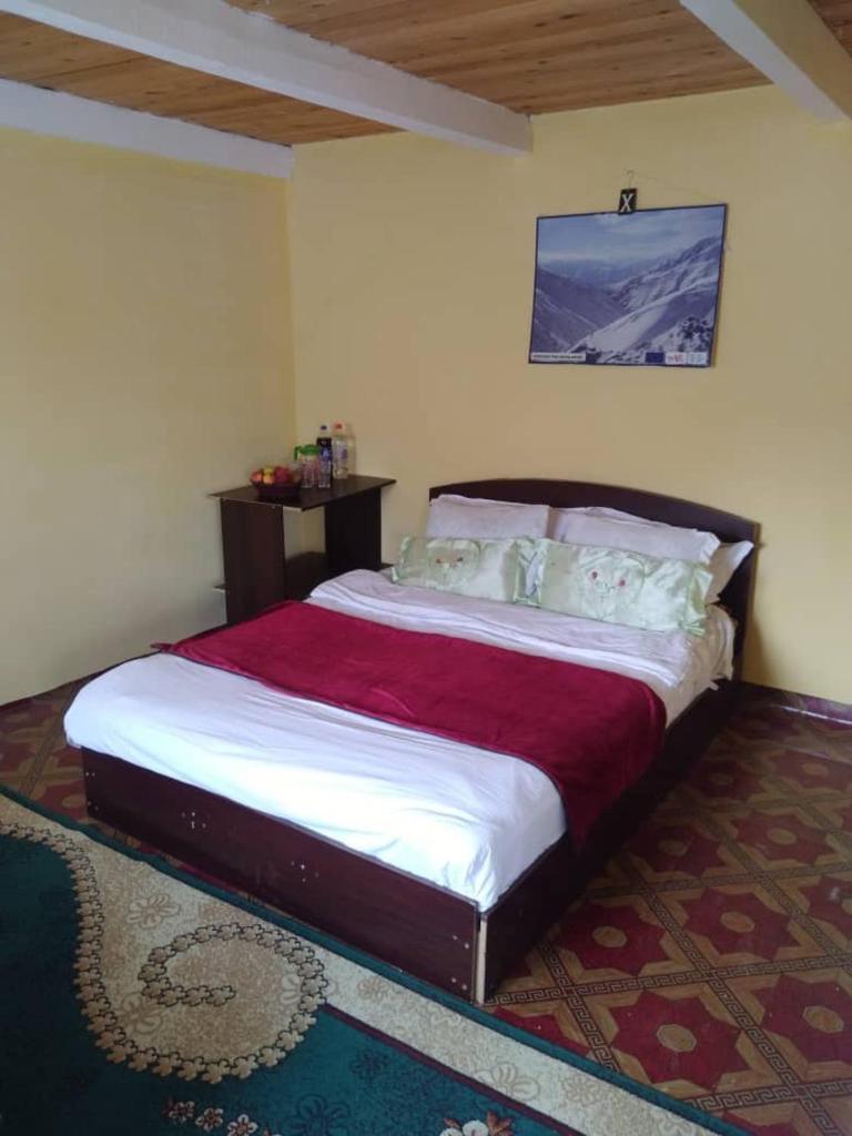 ISKANDARKUL guest house photo 3