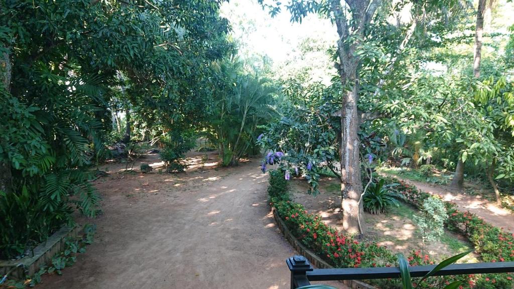 Rohana Holiday Resort yala photo 3