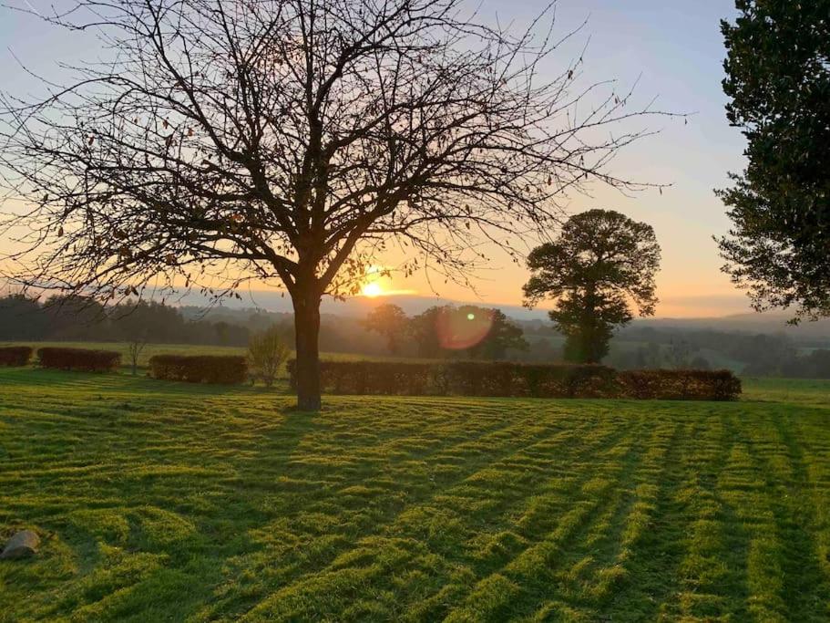 La Pageotière: une longère normande photo 1