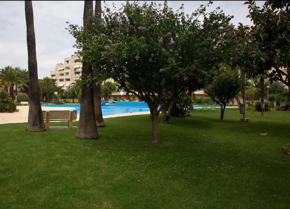 Residencial Jamaica Pobla de Farnals a metros de la playa Piscina photo 2
