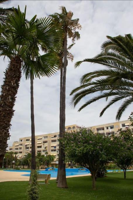 Residencial Jamaica Pobla de Farnals a metros de la playa Piscina photo 3