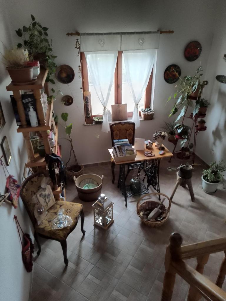 Apartman Bepo photo 4