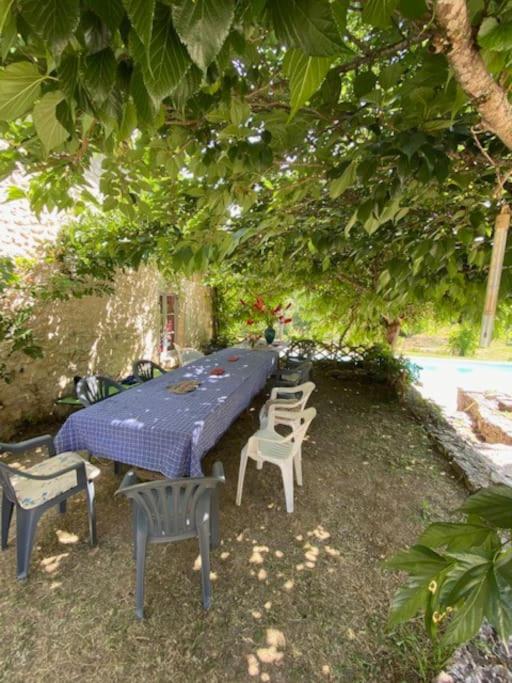 La Terre de mon Père photo 4