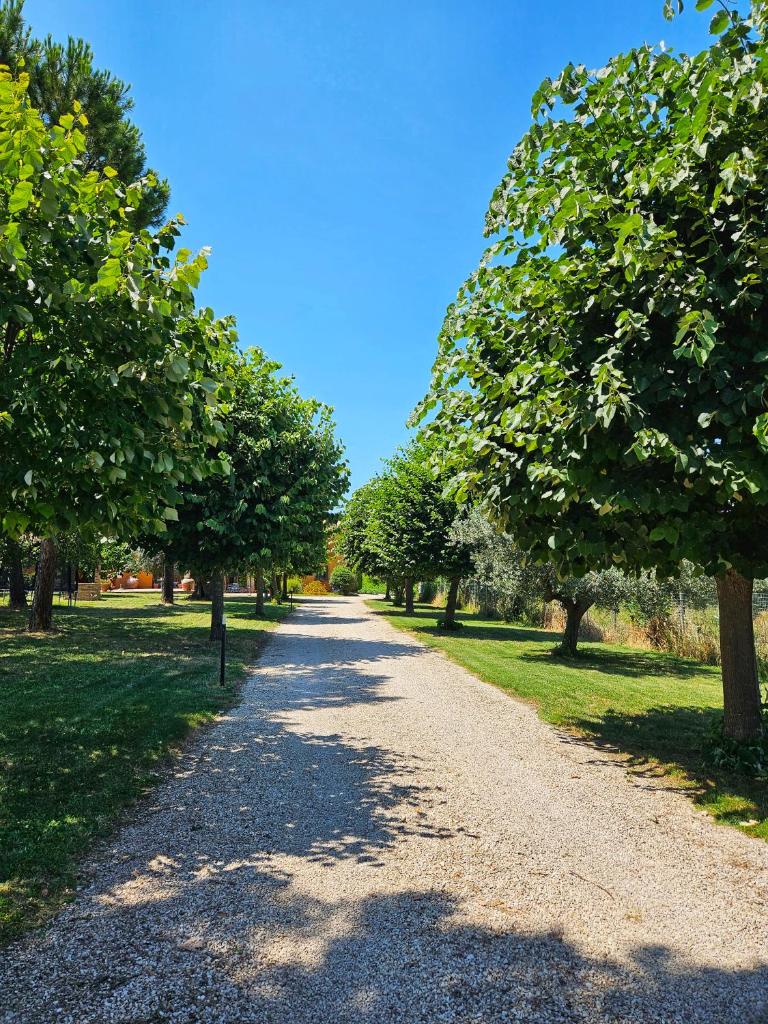 Tenuta Lanza photo 1