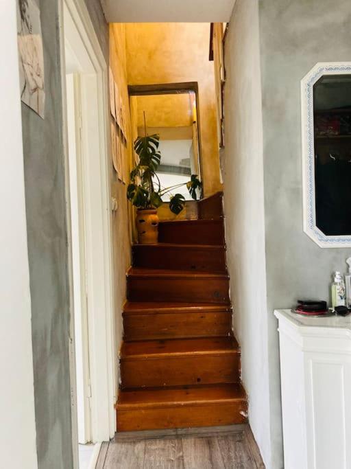 Island House photo 1
