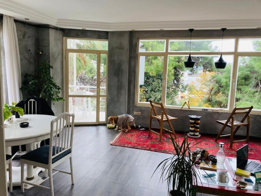Island House photo 3