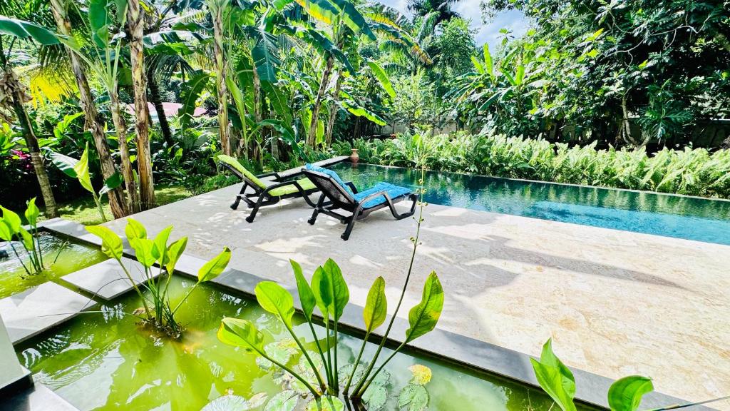 Villa odyssey A photo 4