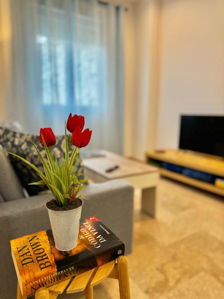 ApartSur® photo 3