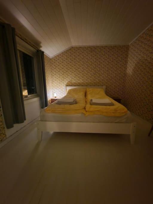 Arctic Cabin Lyngen photo 3