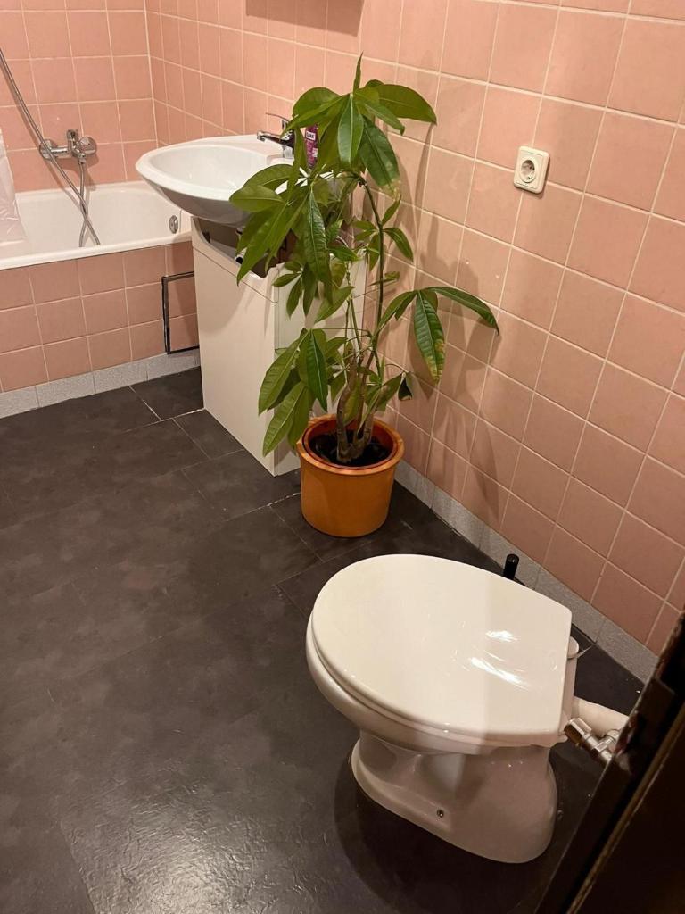 Ruhige 2-Zimmer-Wohnung für 1 - 4 Personen nahe Würzburg von privat photo 1