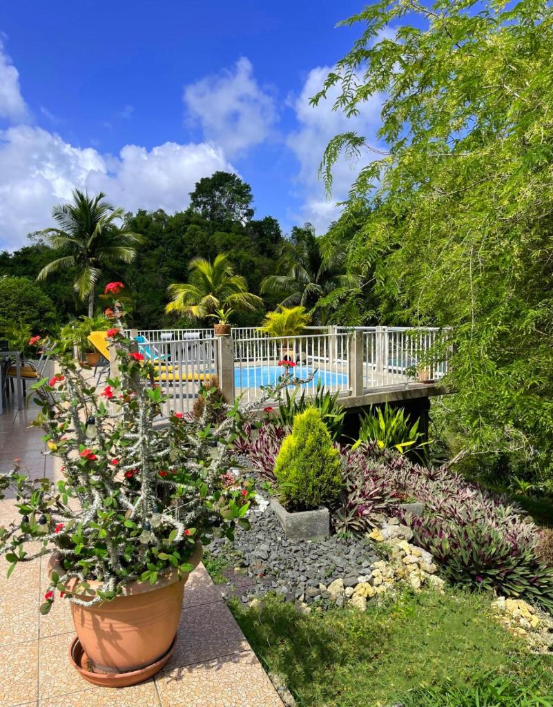 La Villa Ixora, magnifique Villa avec Piscine photo 1