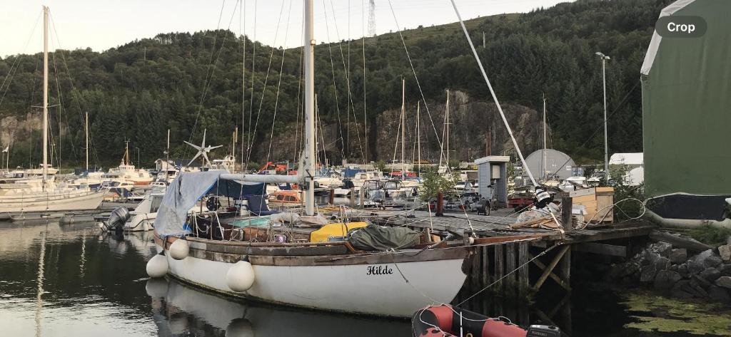 Sailing Yachts in Bergen photo 3