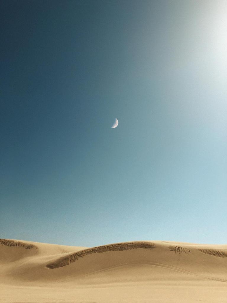 Desert sweet resort photo 2