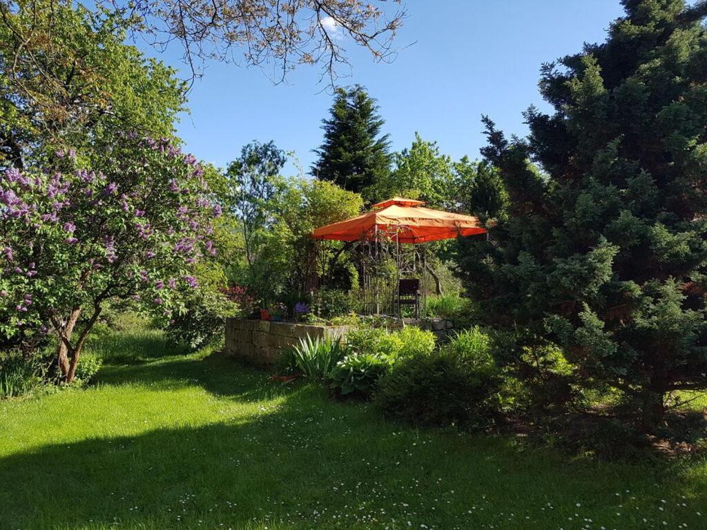 Holiday apartment Am Nussbaum photo 4