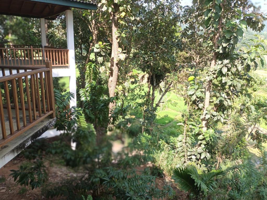 circle edge photo 4