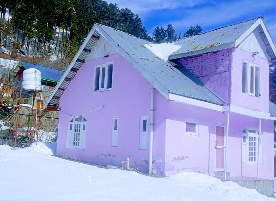 Alpine Grove