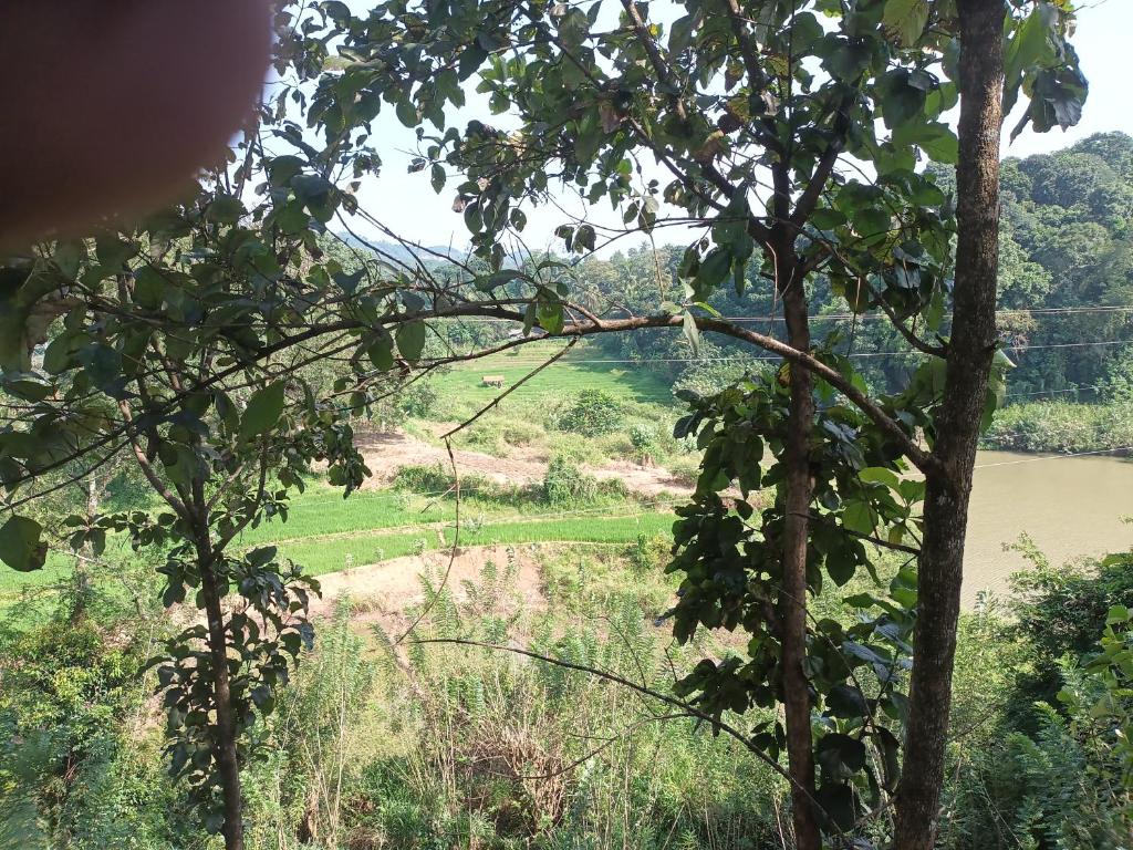 circle edge photo 3
