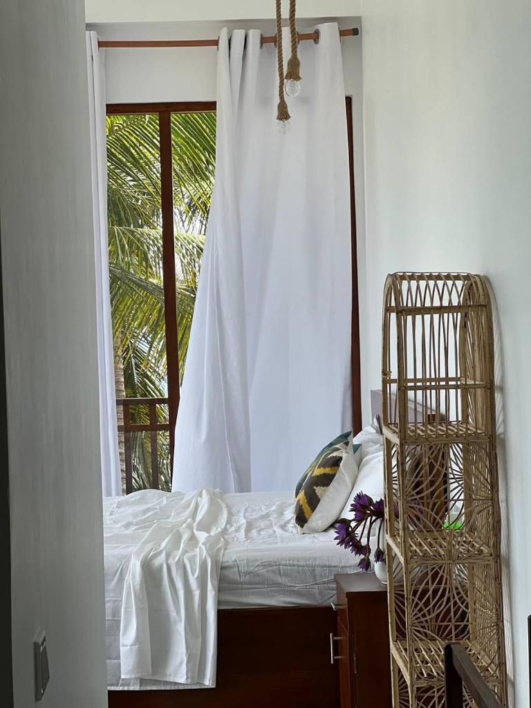 Coconut Palm beach restaurant and rooms photo 3