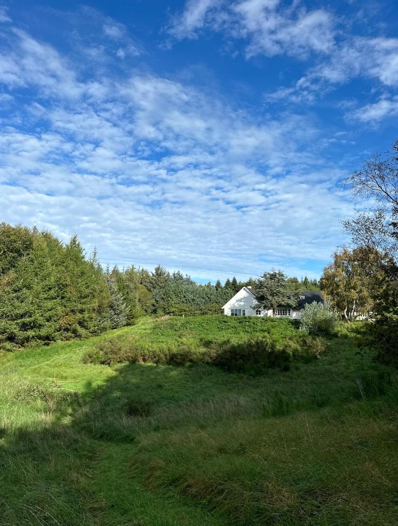 Charmerende landsted med privat skov photo 1