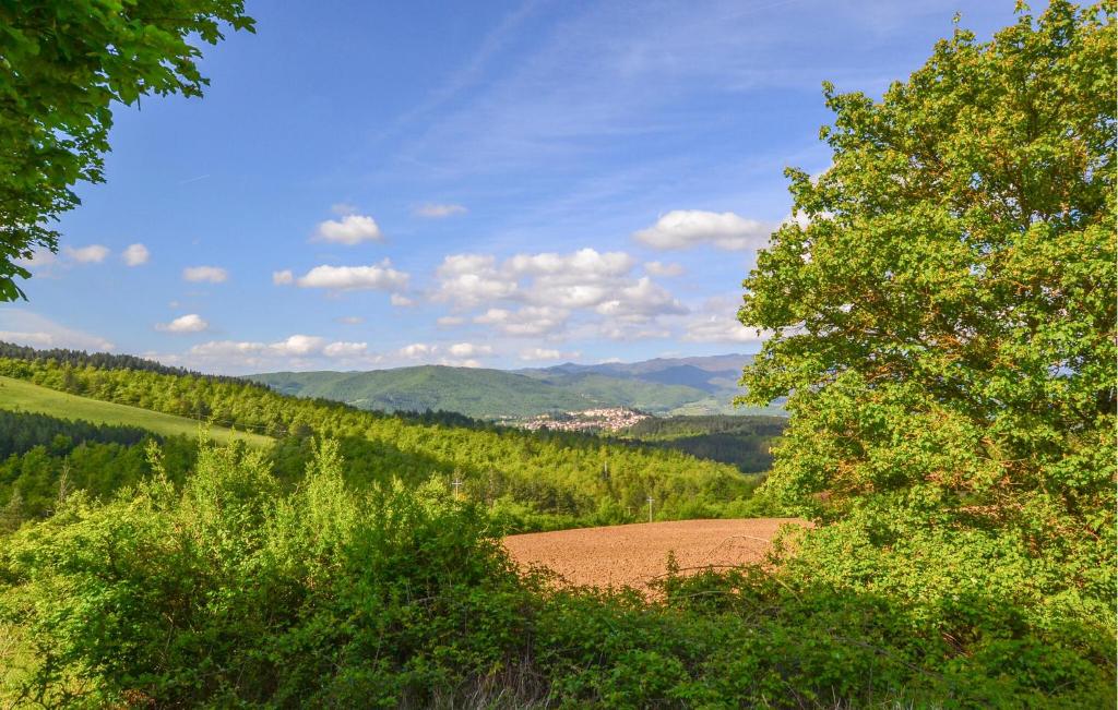 Amazing Home In Pian Del Ponte With Wi-fi photo 4