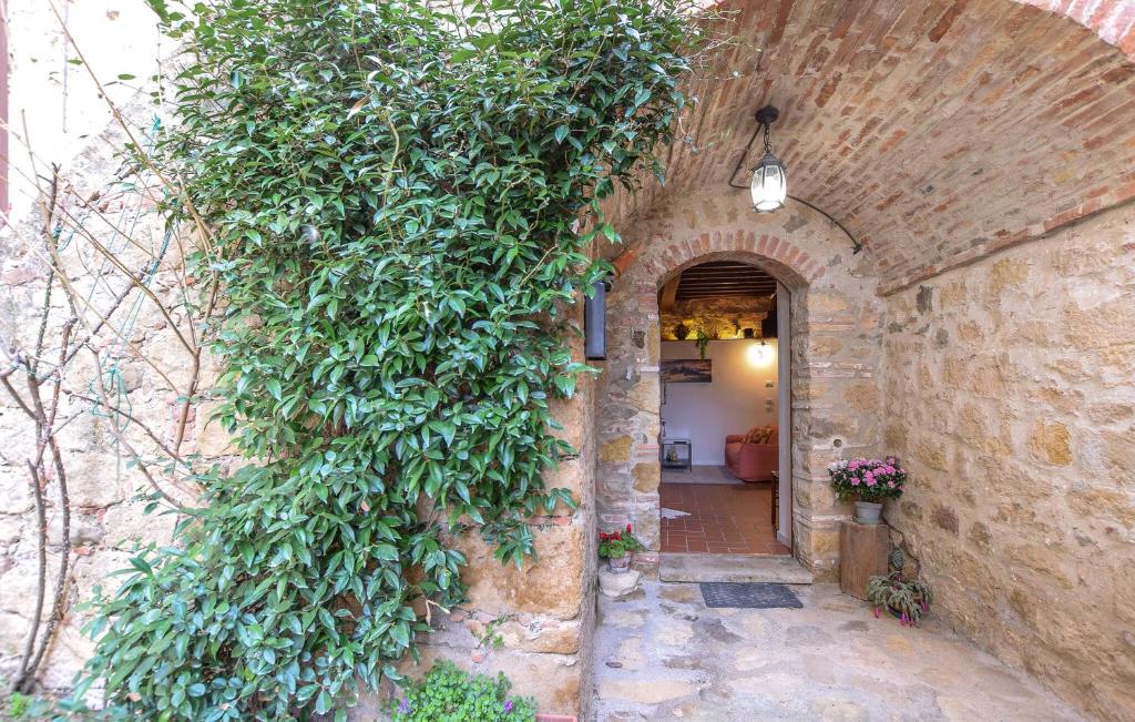Cozy Apartment In Monticchiello With Wi-fi photo 3