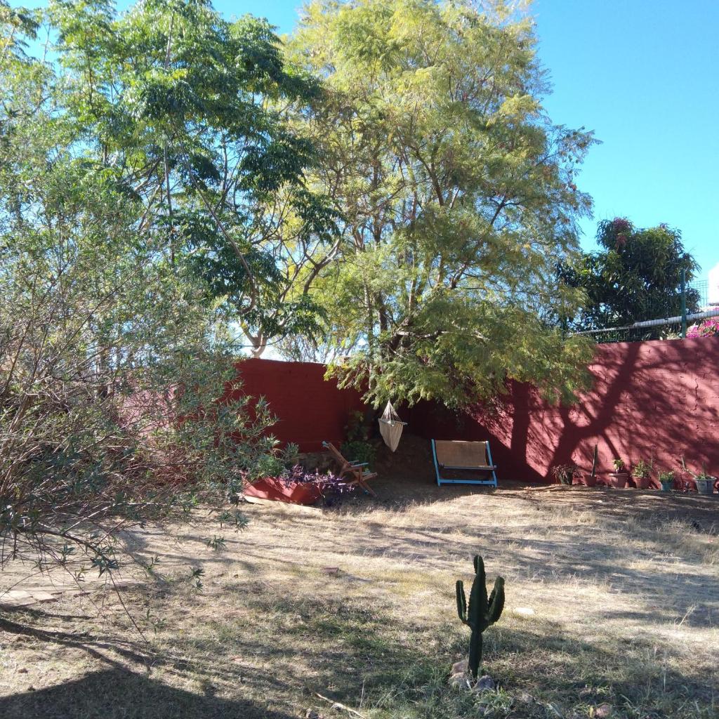 Casa de campo en Oaxaca photo 4