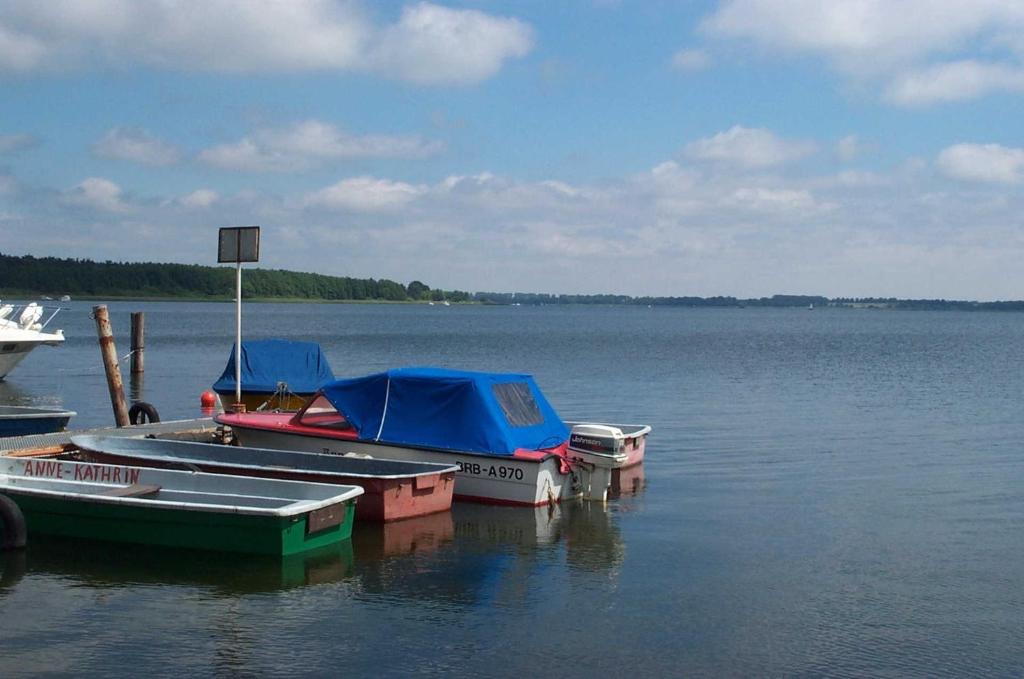 2 Ferienhäuser am Plauer See bis zu 4 Pers photo 4