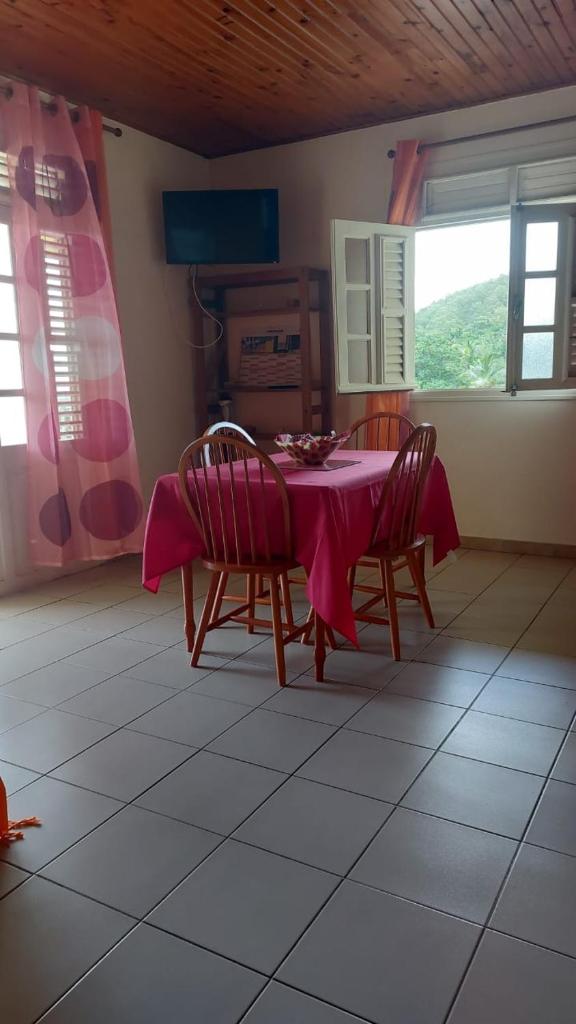 F2 Vue sur mer La villa du manguier photo 4