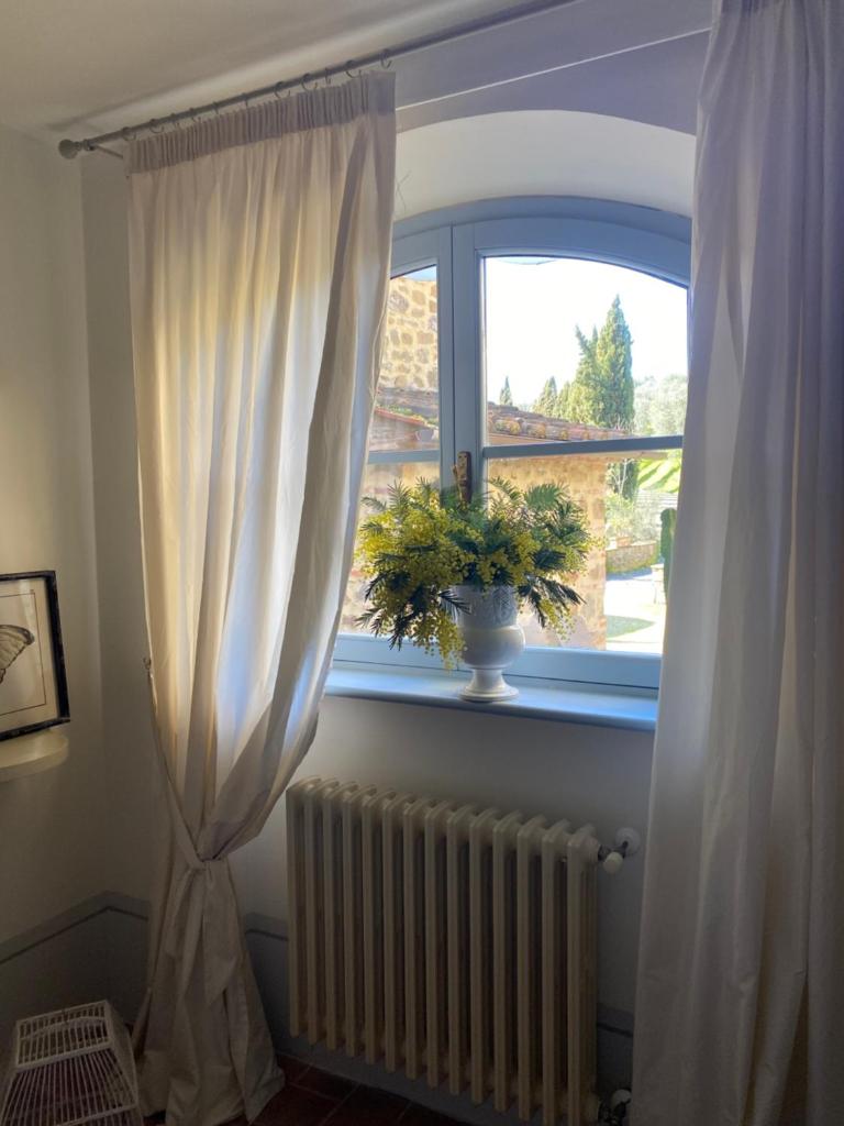 Il Borghetto Andrea Tafi photo 3