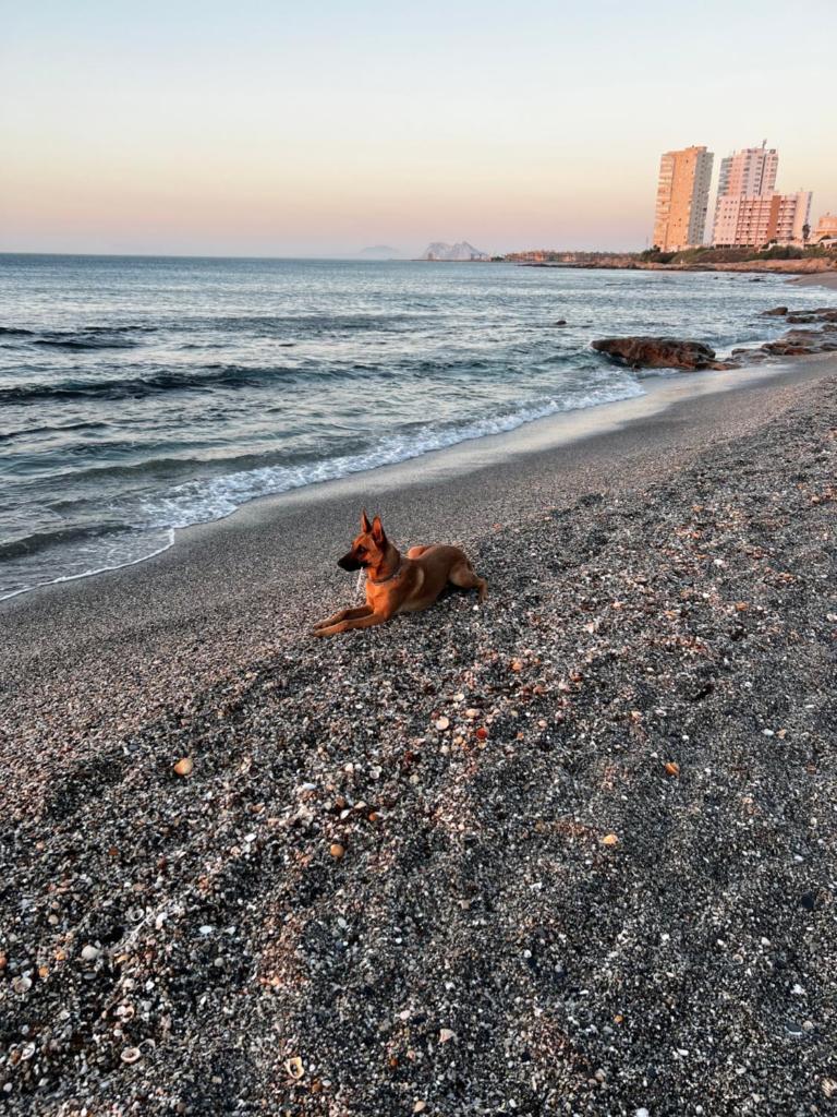 Skøn lejlighed med havudsigt og tæt på stranden photo 2