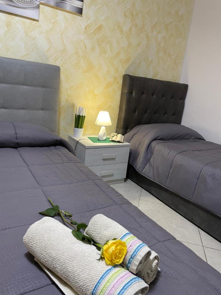 B&B Bovianum photo 4