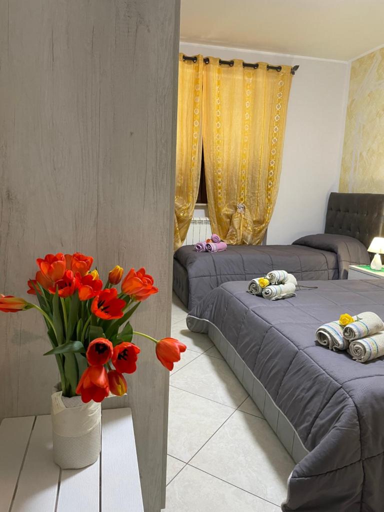 B&B Bovianum photo 2