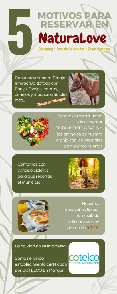 Casa de Huespedes - NaturaLove photo 1