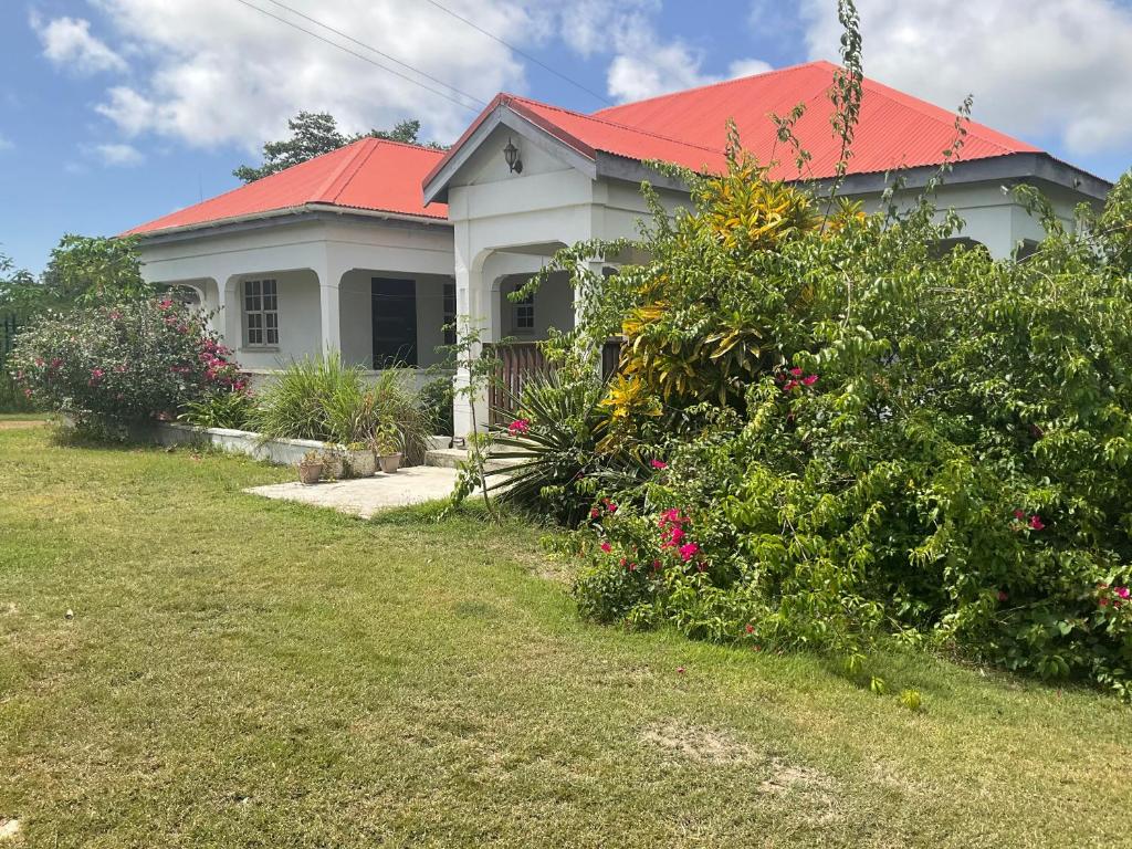 Rustic home on large land of fruit trees- 15 Minutes to English Harbour