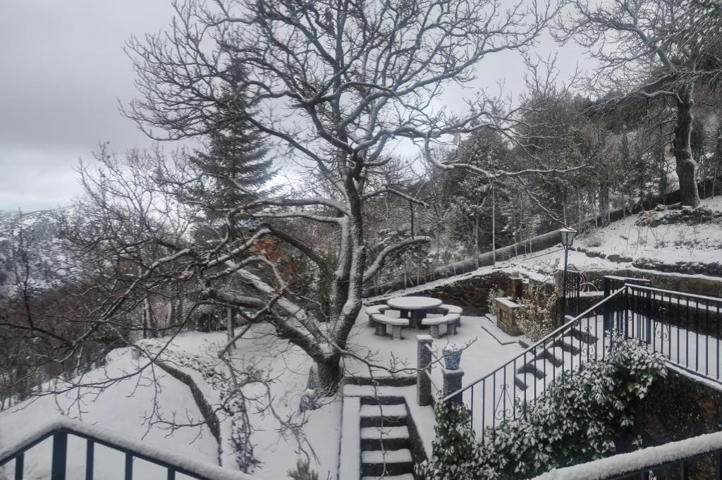 Estrella de nieve photo 2
