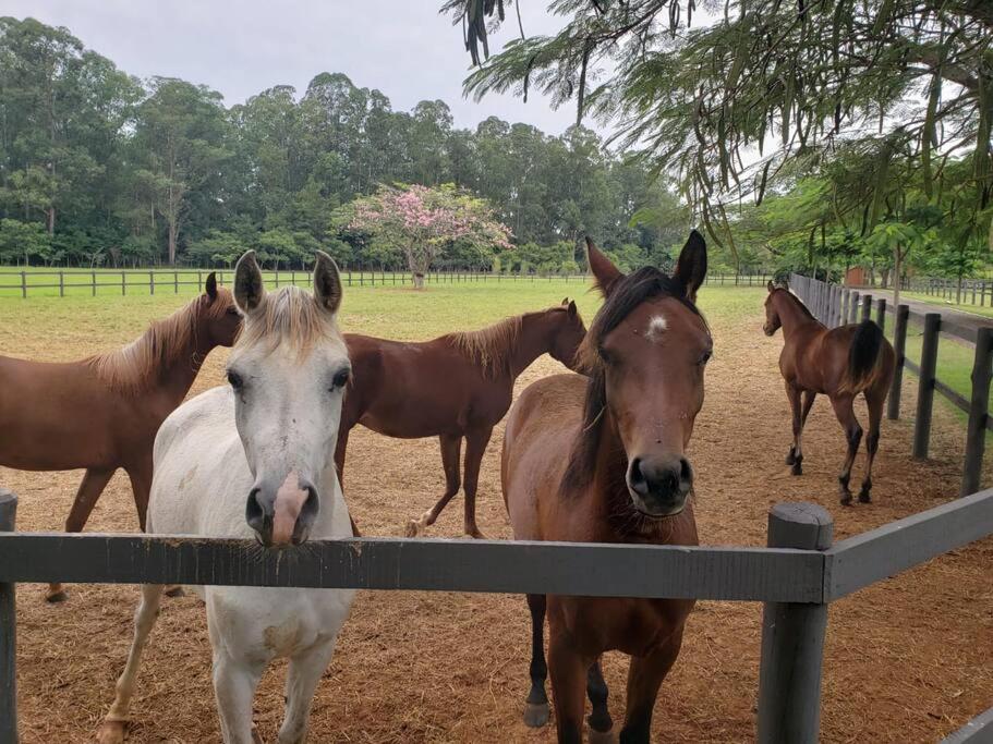 Linda casa 1h30 de SP dentro de HARAS com LAZER photo 4