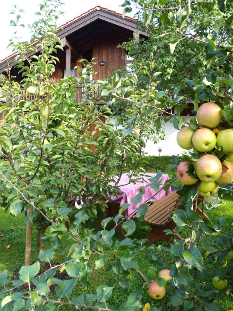 Haus Fellner**** photo 3