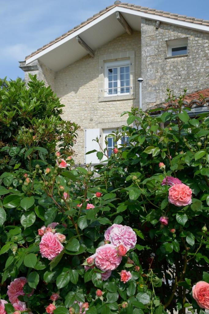 Domaine chez Maurice photo 3