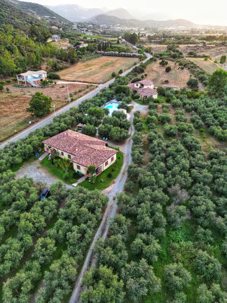 Armandiola photo 3