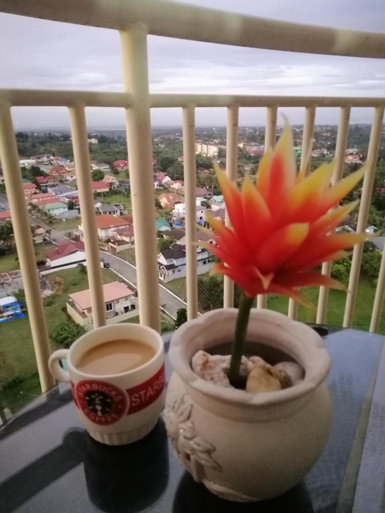 Evelyn's Place with overlooking photo 2