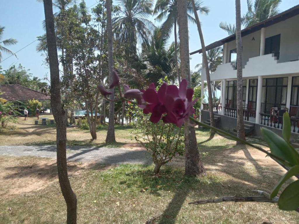 Beach front pool resort photo 2