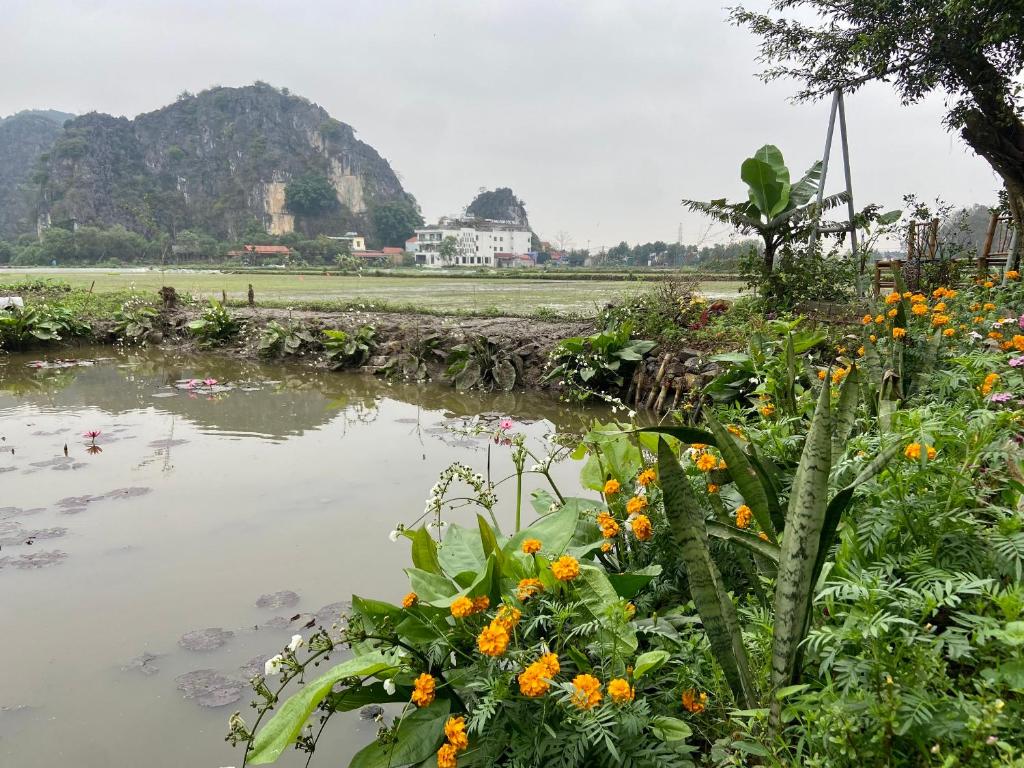 Tam Coc Mountain View Homestay